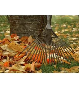 Kert téliesítése: így készítsd fel a kerted a hideg hónapokra